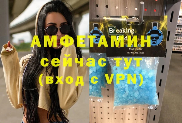 гидра Алексин