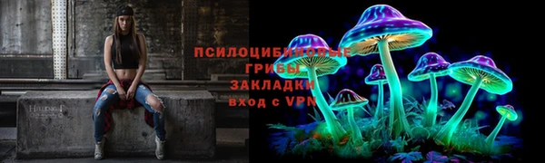 прущий лед Алексеевка
